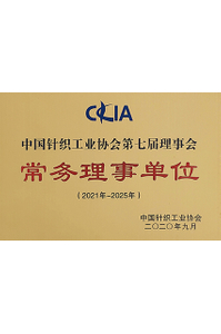 Standing member of China Knitting Industrial Association